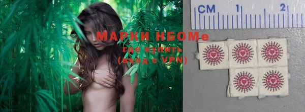 стафф Алзамай