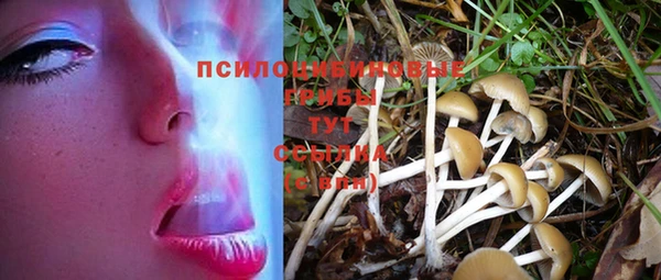 марки nbome Алексин