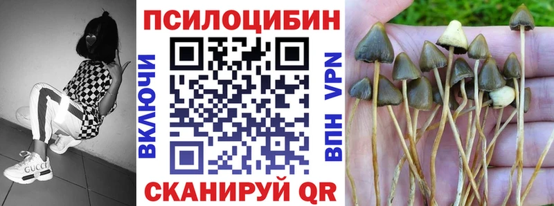 сколько стоит  Изобильный  Галлюциногенные грибы мухоморы 