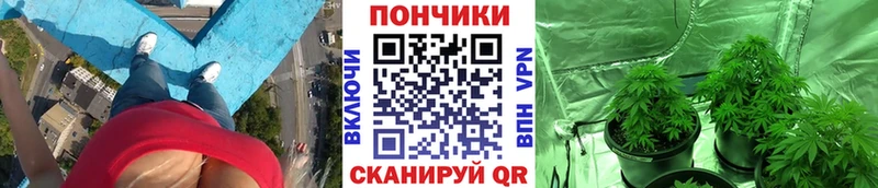 МАРИХУАНА тримм  Изобильный 